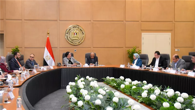 مباحثات بين وزيرا الكهرباء والبيئة لتعزيز سبل التعاون في قضايا الطاقات المتجددة