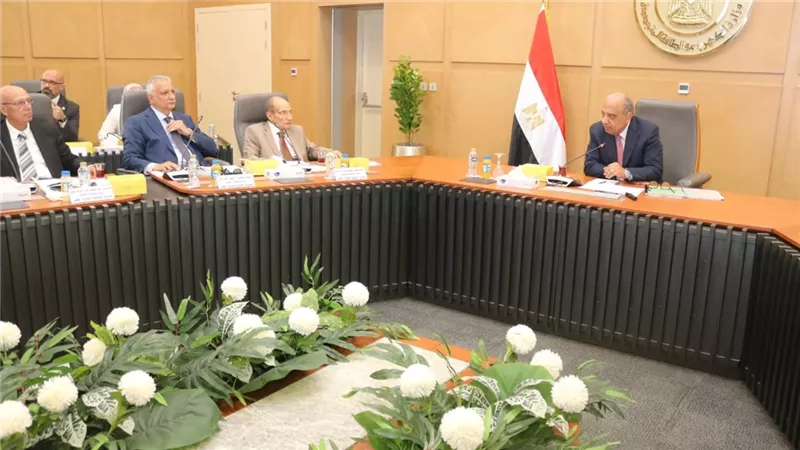 ننشر تفاصيل إعادة هيكلة الشركة القابضة وفصل المصرية لنقل الكهرباء