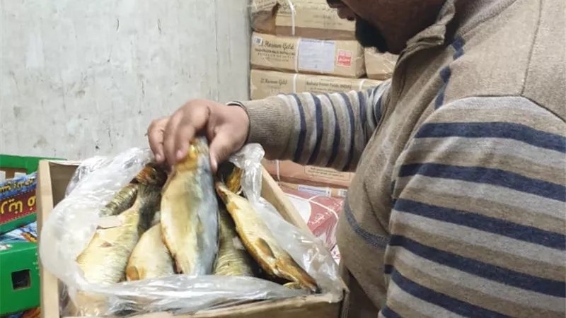 صور.. الجيزة تضبط 18.5 طن لحوم ودواجن وأسماك فاسدة بهذه المناطق