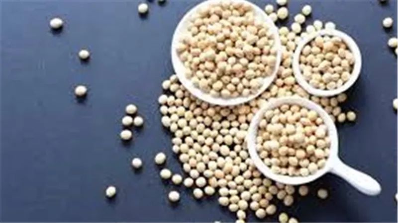 فول الصويا.. غذاء شامل لصحة القلب وتقوية العظام والتحكم في الوزن