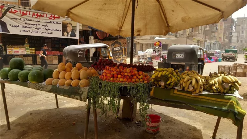 الجيزة تطلق 19 سوقًا للسلع الغذائية بأسعار مخفضة ضمن أسواق اليوم الواحد بهذه المناطق