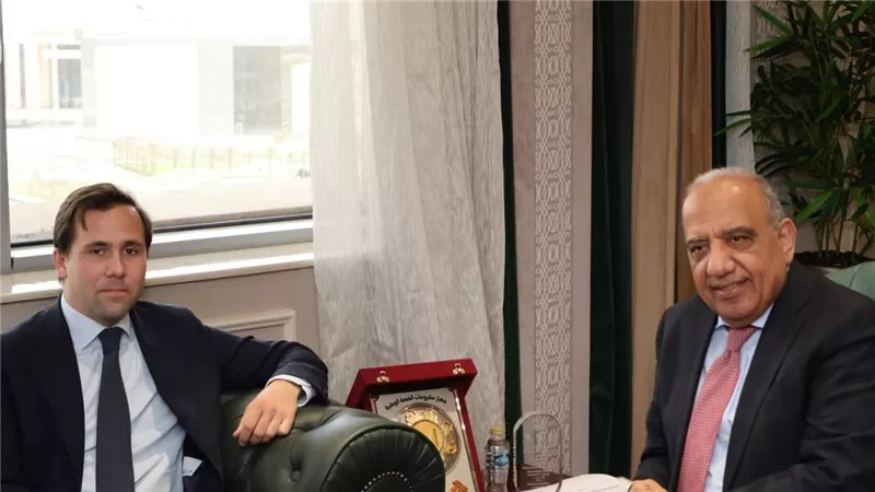 مصر والسويد تبحثان خطة التعاون بمجالات استقرار شبكة الكهرباء ودمج الطاقة المتجددة 