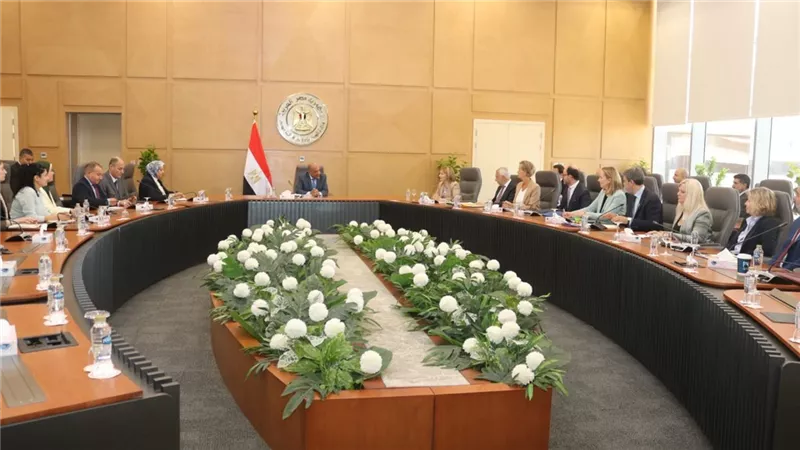 تفاصيل مباحثات وزير الكهرباء مع وفدا بنك الاستثمار والاتحاد الأوروبيين لدعم الشراكة