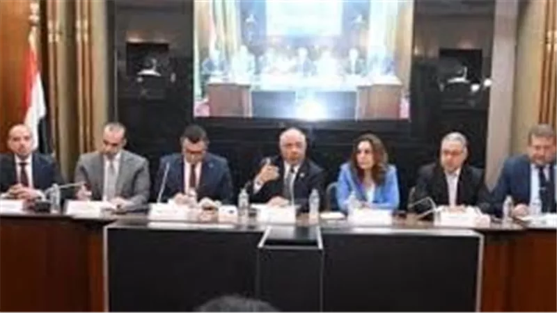 بيان أممي مشترك: استعادة الهدوء أولوية.. ومصر تؤكد التزامها بالحلول السياسية
