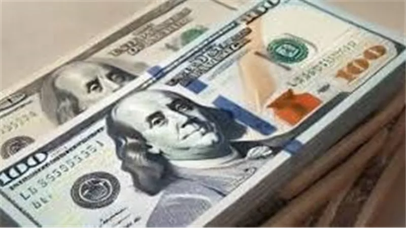 سعر الدولار اليوم في مصر.. استقرار بالبنوك بعد موجة صعود قوية
