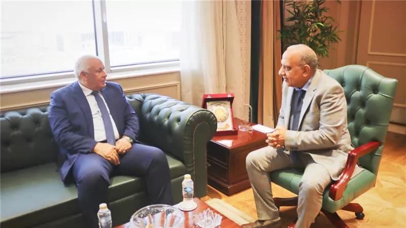 مباحثات مكثفة بين وزير الكهرباء ومحافظ الوادي الجديد لتأمين الشبكة الموحدة 