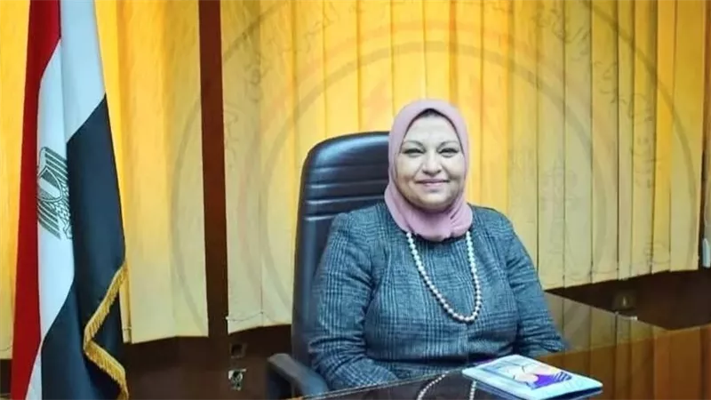 رئيس الوزراء يكلف صباح مشالي بوضع الخطط الاستراتيجية المستقبلية لوزارة الكهرباء