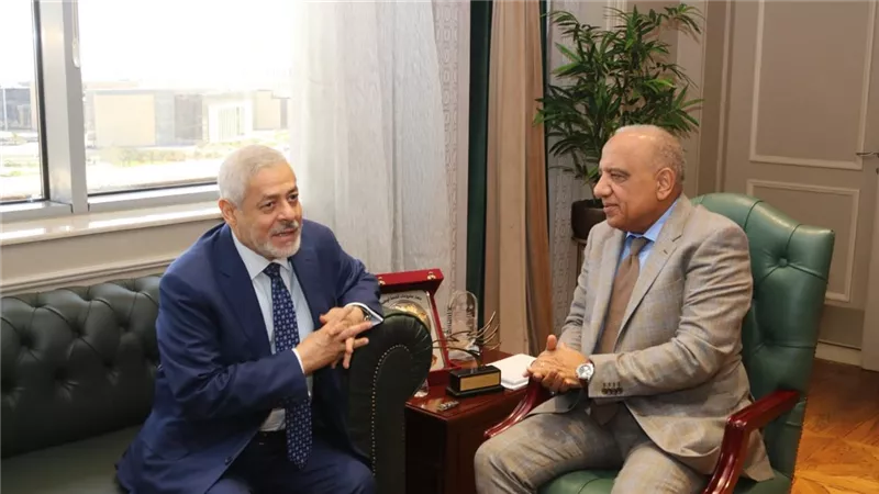 مباحثات وزير الكهرباء وإيميا باور الإماراتية لزيادة التعاون والتوسع بمحطات تخزين الطاقة