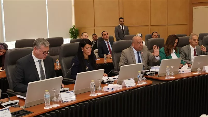 المجلس الأعلى للطاقة يناقش توفير التغذية لـ14 مشروعًا صناعيًا وخطوط إنتاج جديدة 