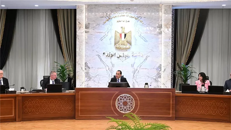 مدبولي يبحث التعاون المشترك ومتابعة المشروعات مع نائب رئيس وزراء روسيا الاتحادية