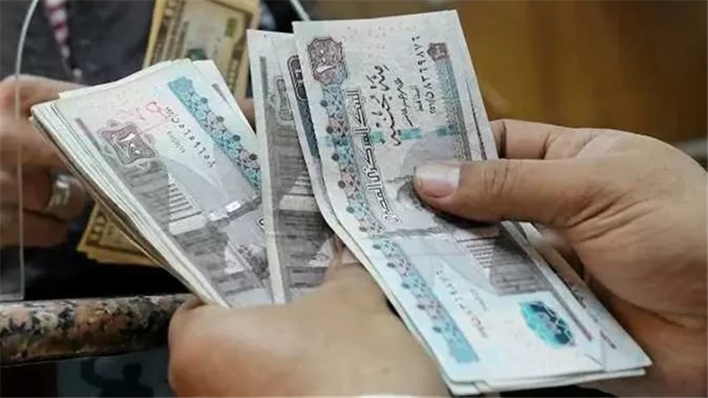 صرف معاشات تكافل وكرامة ديسمبر 2025.. موعد الإتاحة وخطوات الاستعلام إلكترونيًا