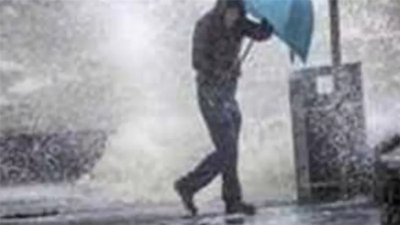 الأرصاد تحذر من شبورة كثيفة وانخفاض الرؤية صباح غدًا الأربعاء على الطرق