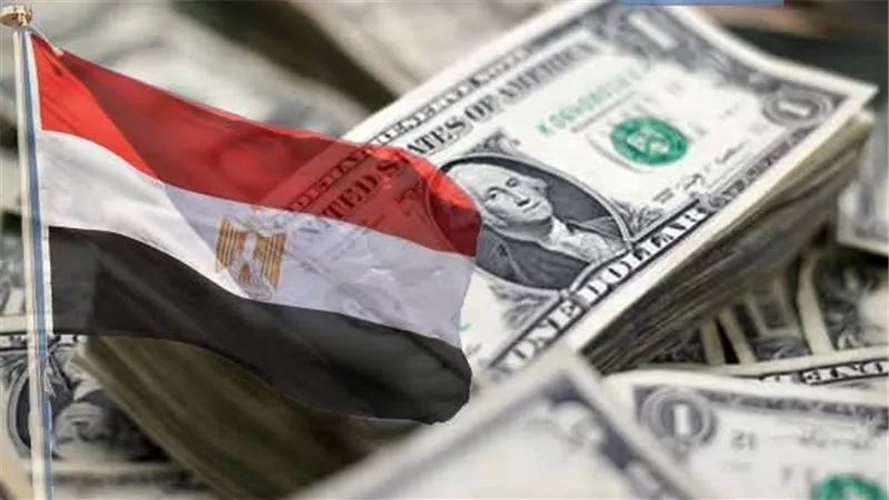 استقرار أسعار الدولار والعملات الأجنبية في مصر اليوم الخميس 20 نوفمبر 2025