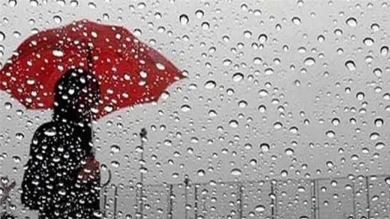 أمطار خفيفة ونسمة هواء باردة .. تفاصيل طقس الخميس من الأرصاد