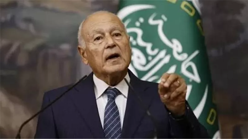 أبو الغيط يحذر: 90% من الغذاء يُستورد في بعض الدول العربية