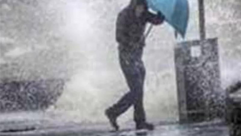 شبورة صباحية وأمطار على السواحل تفاصيل حالة الطقس حتى الخميس