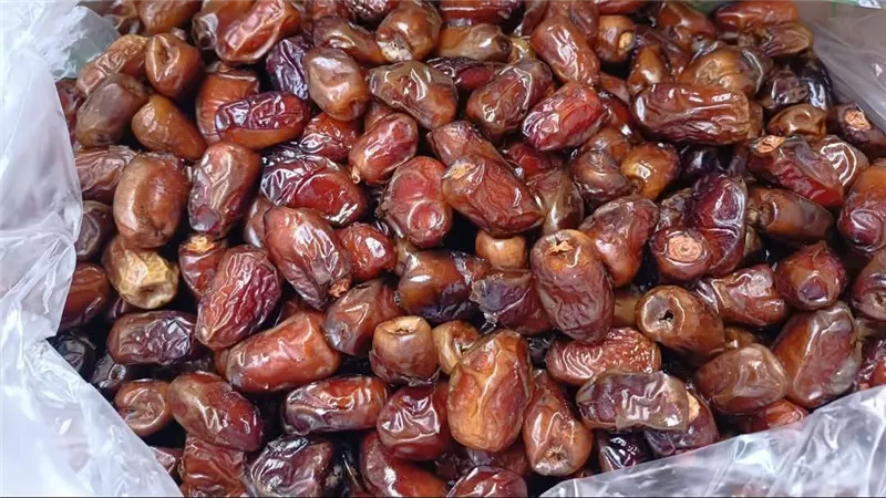 أسعار التمور في الأسواق استعدادًا لشهر رمضان المبارك 2026
