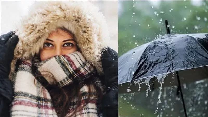 ارتفاع مؤقت في الحرارة وشبورة كثيفة فجراً.. الأرصاد تكشف تفاصيل طقس الأربعاء