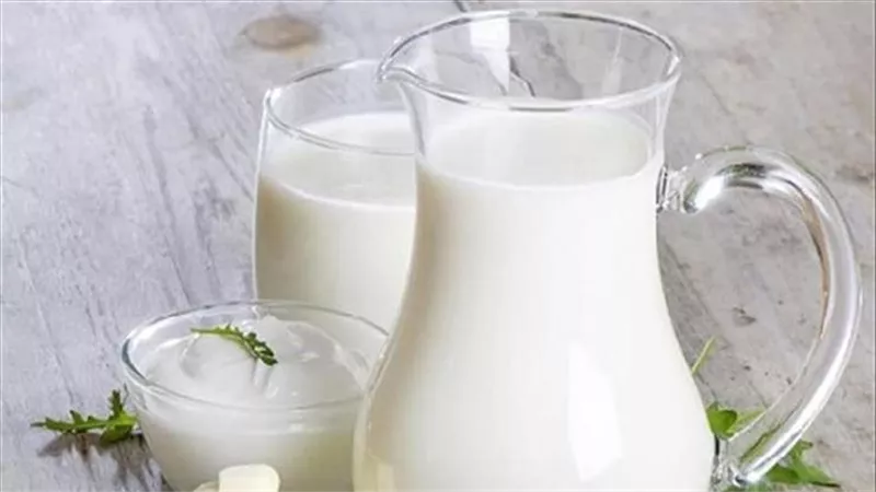 طريقة عمل اللبن الرائب في المنزل بسهولة..خطوات مضمونة وطعم أفضل من الجاهز