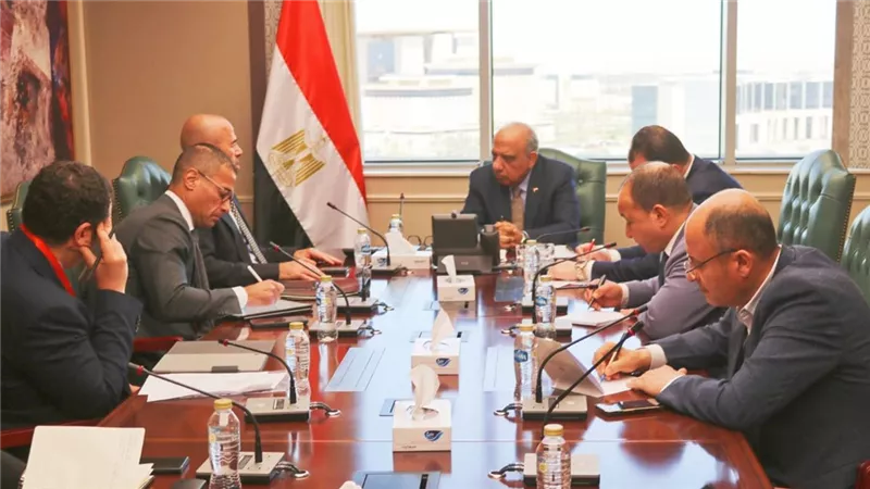 وزير الكهرباء يبحث مع «إنكوم» آليات توفير الطاقة لإقامة مشروع مركز عالمي للبيانات
