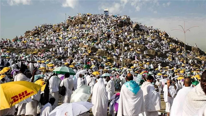 حكم من دخل المستشفى قبل وقفة عرفات ولم يتمكن من الصعود..الإفتاء توضح