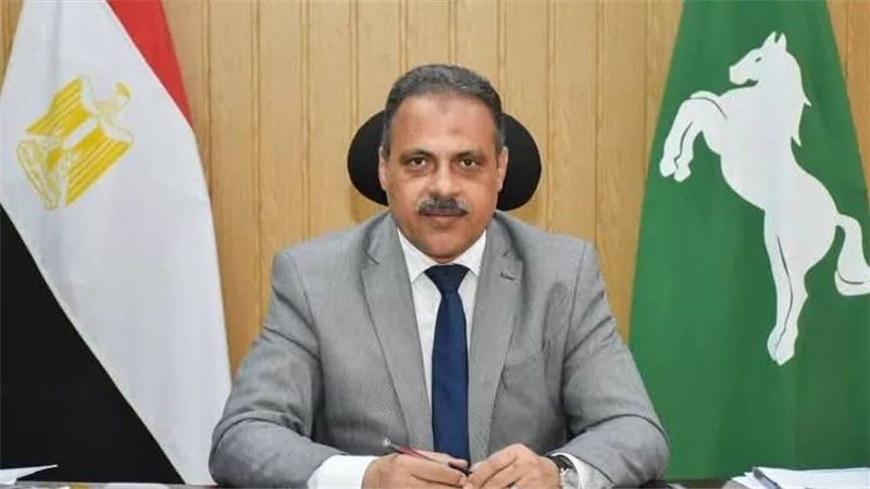 تجهيز سيارات الضباب وحملات على محلات العصير.. أبرز توجيهات محافظ الشرقية بالمجلس التنفيذي