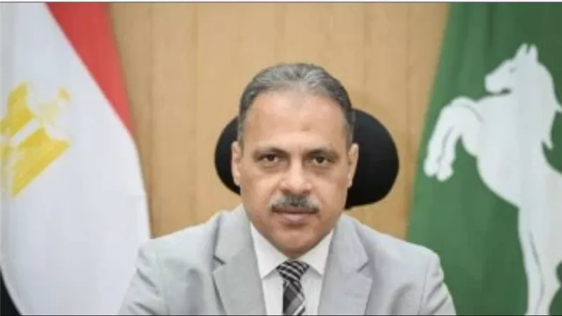 محافظ الشرقية: استبدال العدادات الكودية بدائمة للحاصلين على نماذج إتمام التصالح
