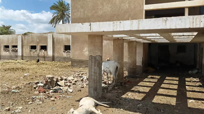 مستشفى بلفيا ببنى سويف أصبحت حظيرة مواشى منذ 9 سنوات وملجأ للمشبوهين 