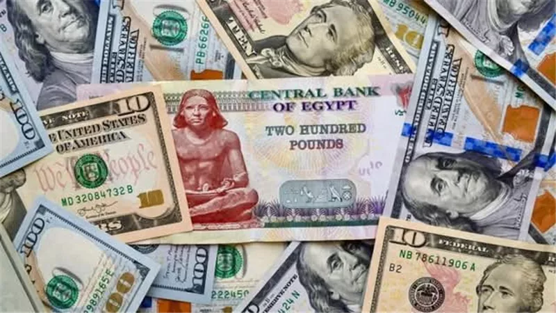 استقرار أسعار العملات الأجنبية بالبنك المركزي اليوم الأحد 5 يوليو 2026 رسميًا