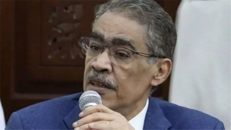 ضياء رشوان ينفي مزاعم «وول ستريت جورنال» بشأن حادث ميناء دمياط