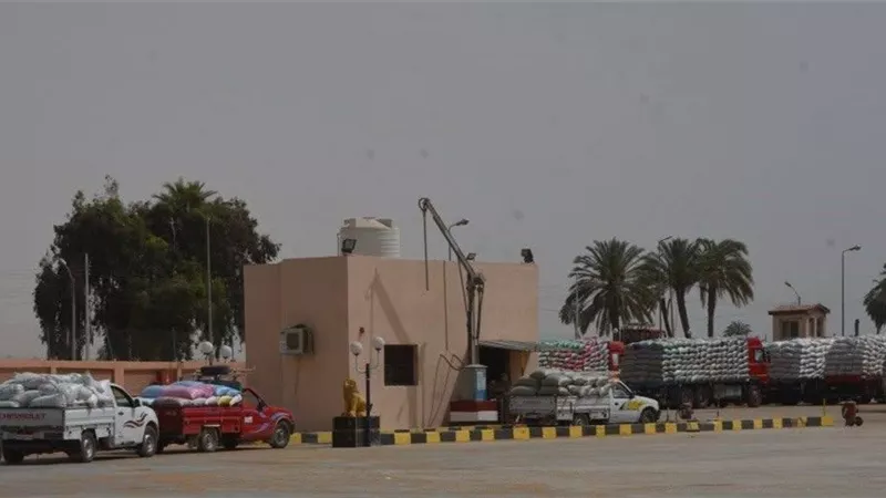 استلام 354 ألف طن من الأقماح المحلية بالصوامع والشون ببنى سويف