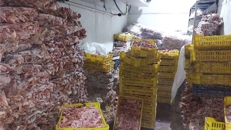 دقيق مدعم وسلع مجهولة المصدر.. حملات تموين الجيزة تكشف مخالفات بالملايين في شهر