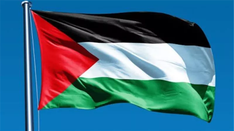 لماذا ترفض الدول استقبال سكان غزة؟.. أسباب سياسية وأمنية واقتصادية وراء تعثر خطة التهجير