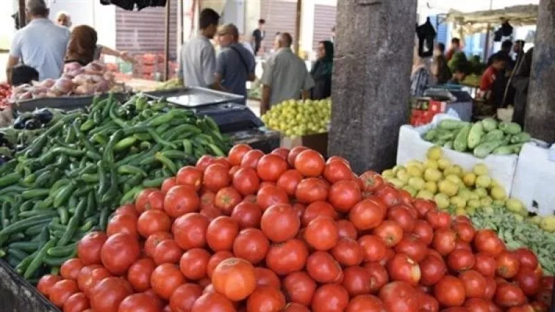 أسعار الطماطم اليوم.. الكيلو يصل إلى 50 جنيهًا ونقيب الفلاحين يكشف أسباب الارتفاع