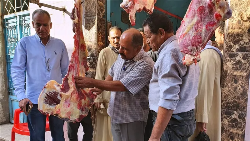 تحرير 19 محضرًا وضبط 3 أطنان من السلع الغذائية المخالفة في حملات رقابية في جهينة بسوهاج 