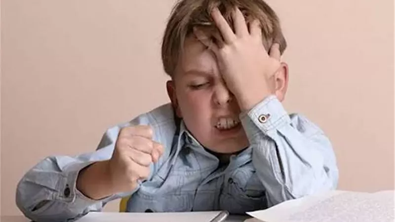 أطعمة لزيادة التركيز عند الأطفال مع بداية الدراسة.. أكلات تقوي الذاكرة وتدعم صحة الدماغ