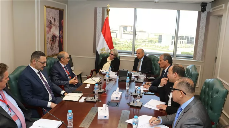 وزير الكهرباء يستقبل سفيرة فنلندا بالقاهرة ووفدا من وارتسيلا الفنلندية لبحث سبل التعاون
