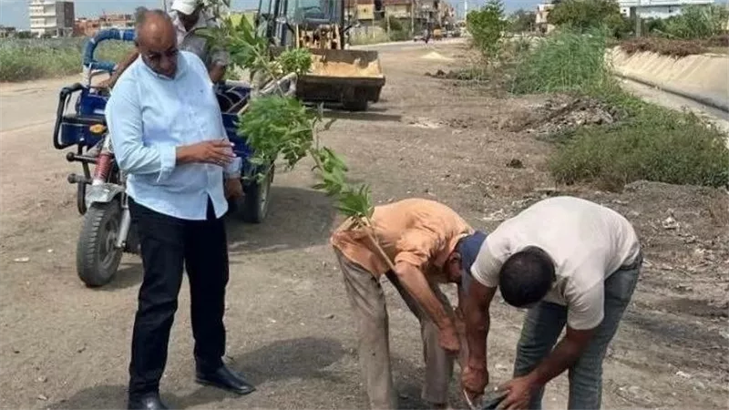 «حظر نهائى لقطع الأشجار».. قرار عاجل في الشرقية وتحذيرات للمخالفين