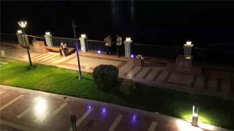 ممشى بني سويف السياحي يضيء بالبنفسجي في اليوم العالمي لمرض ألزهايمر