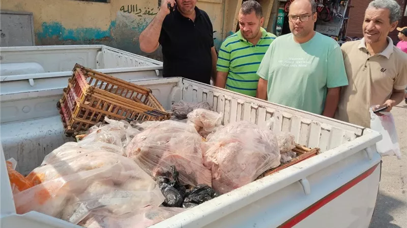 تحرير 68 مخالفة بالأسواق والمخابز السياحية ببنى سويف وضبط لحوم منتهية الصلاحية