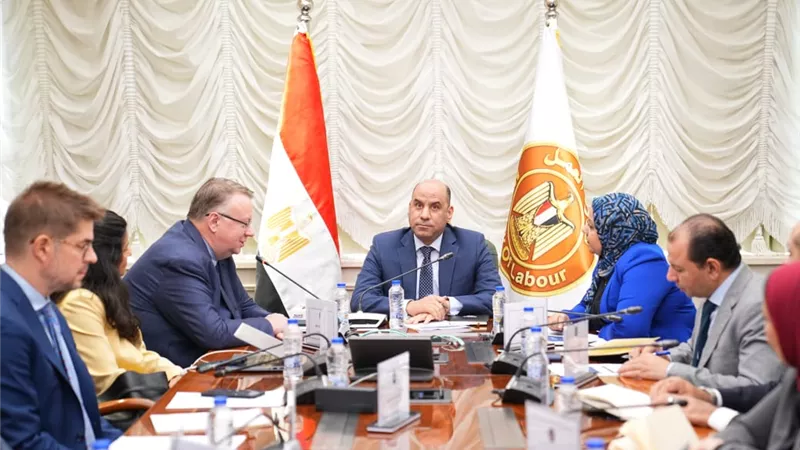 1.4 مليون فرصة عمل سنويًا.. تفاصيل خطة تنفيذ الاستراتيجية الوطنية للتشغيل
