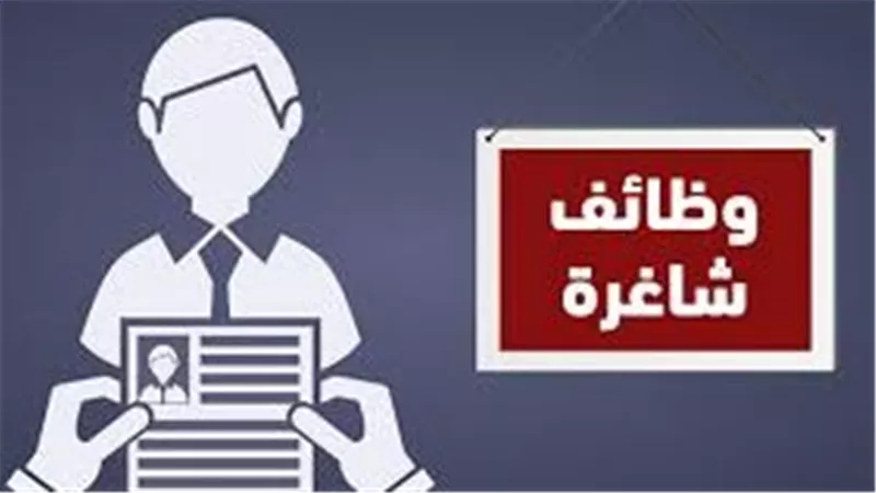 وظائف وزارة التضامن الاجتماعي 2026..تعرف على التخصصات المطلوبة وشروط التقديم وآخر موعد