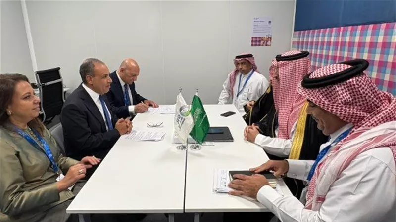 وزير الخارجية يبحث زيادة تمويلات الصندوق السعودي للتنمية للمشروعات الحيوية في مصر