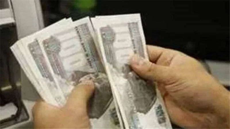 معاشات نوفمبر 
