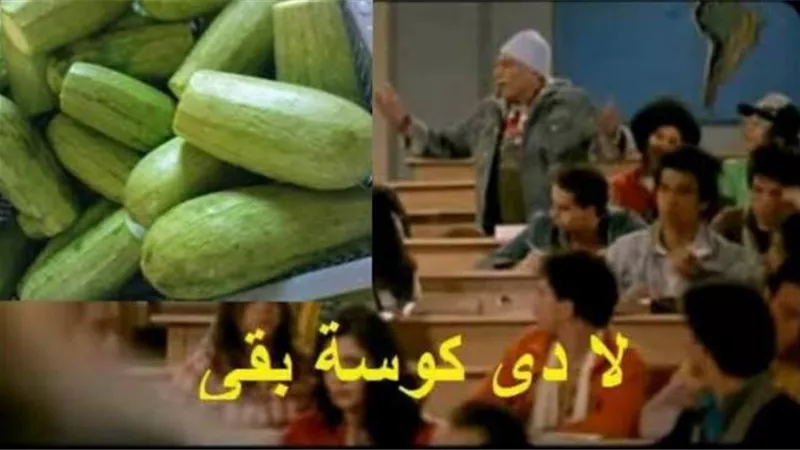”ماهي كوسه”..أصل المثل يعود لعصر المماليك وهذه قصته