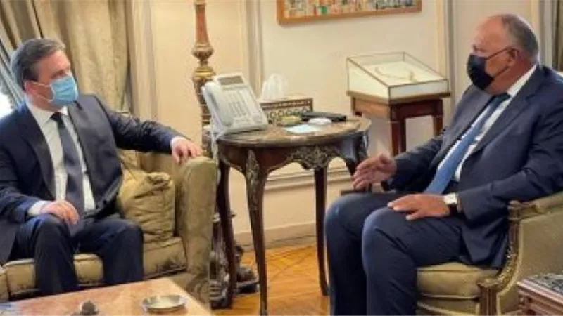 وزير خارجية صربيا: مصر قوية ولديها قائد عظيم