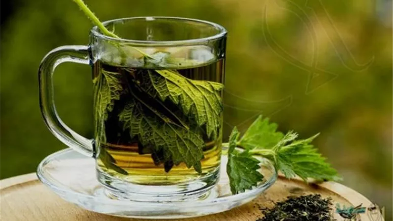 ماء البقدونس والزنجبيل.. الحل السحري لعلاج التهاب المسالك البولية