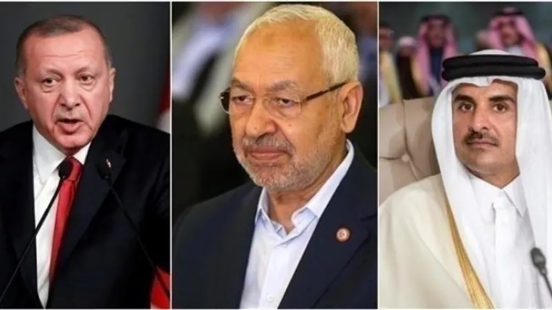 أسماء وميرال وعبير.. حكاية 3 «حريم» كشفن جرائم تميم وأردوغان والغنوشى